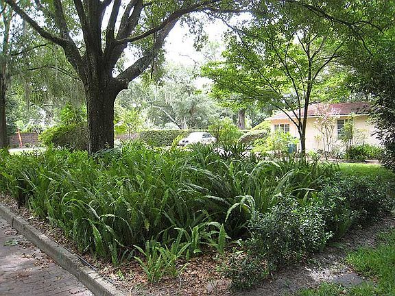 Corner Lot