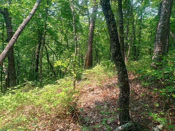 4th image of 1227 Hilton Dr