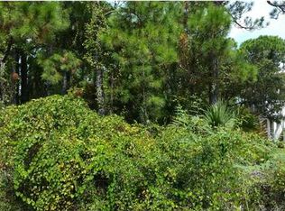 319 Bradford St, Saint George Island, FL 32328