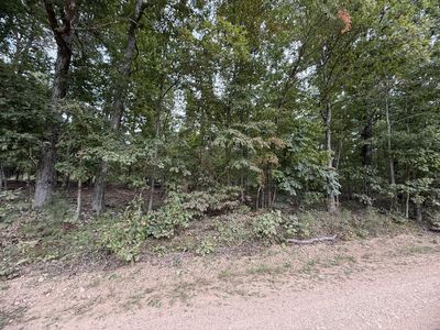 000 County Road 2000 Road, West Plains, MO, 65775