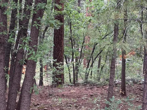 3887 E Bermuda Cir, Pinetop, AZ 85935