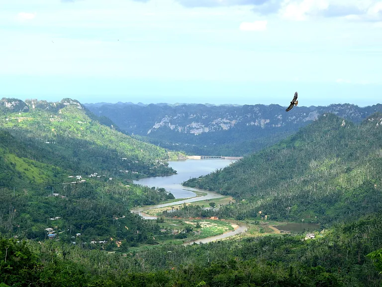 0 Utuado Bo Sabana Grande Carr 611 Km — Photo 7