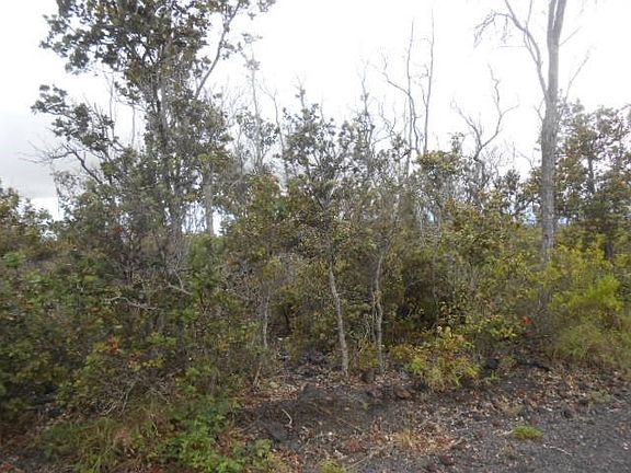 2nd image of Ohia Dr Lot 4