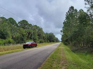 229 Paradise Blvd, Georgetown, FL 32139