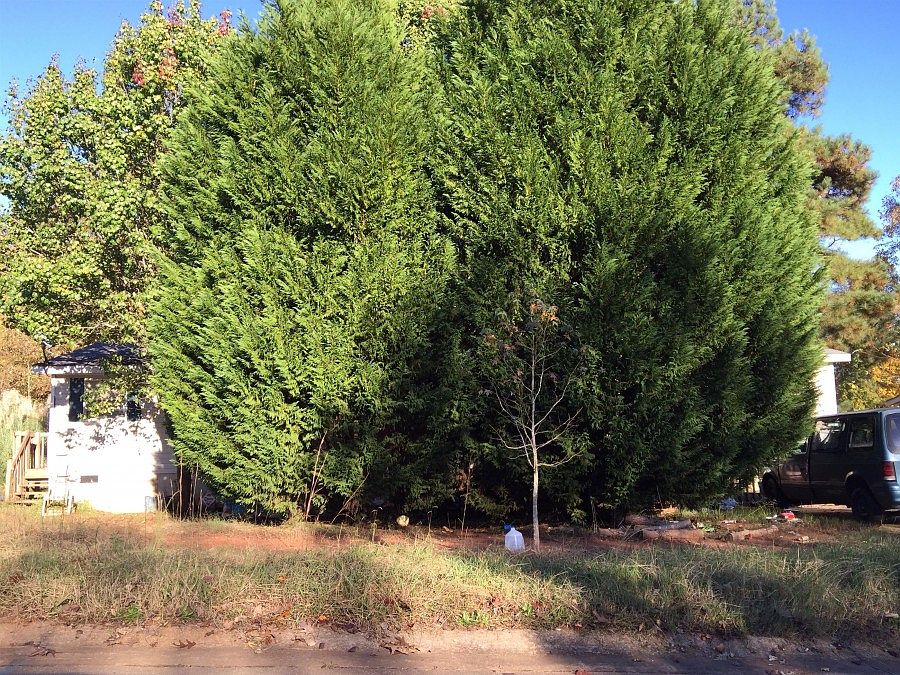 1st image of 5155 Stoneridge Dr