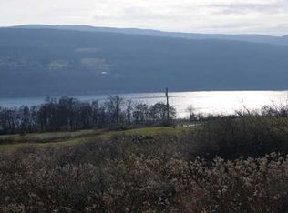 0 Greyton H Taylor Memorial Dr, Hammondsport, NY 14840