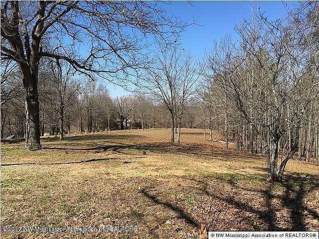 2nd image of 2075 Scotland Rd
