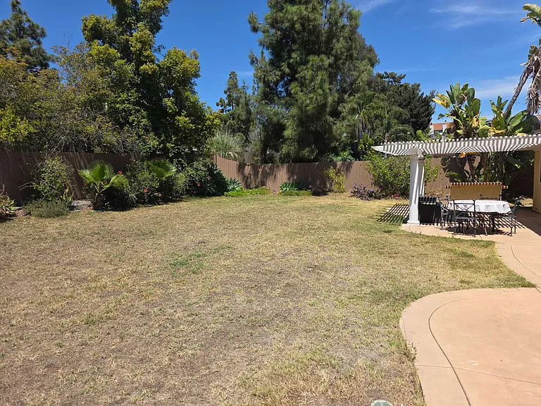 2814 Luciernaga St — Photo 10