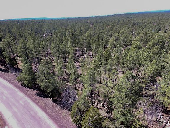 3rd image of Tbd Pine Wood Ln