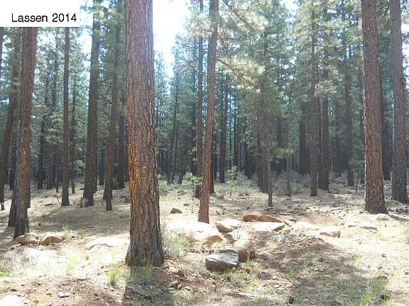 2nd image of 0 Gray Eagle Ln