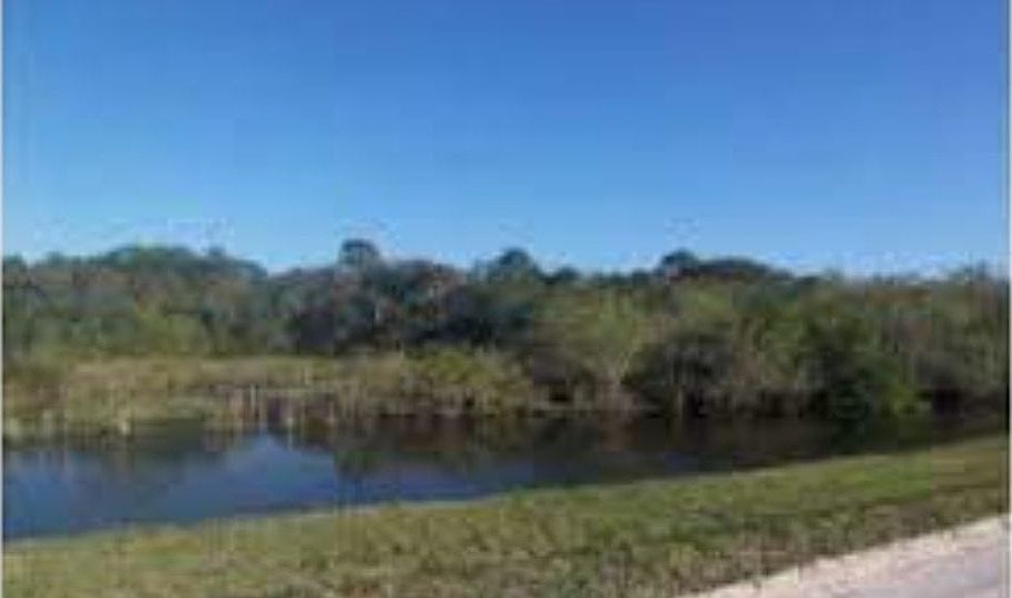 2nd image of Judson Rd