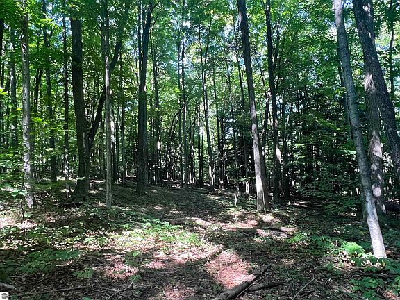 5th image of PARCEL 1 Shorewood Dr