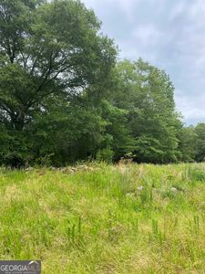 0 River Birch Ln, Colbert, GA, 30628