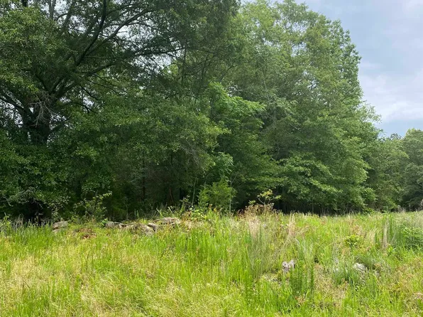 0 River Birch Ln, Colbert, GA 30628