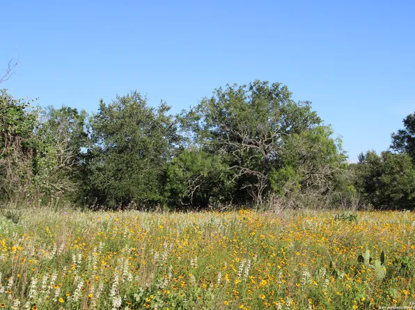 2405 JAKES COLONY RD, Seguin, TX 78155
