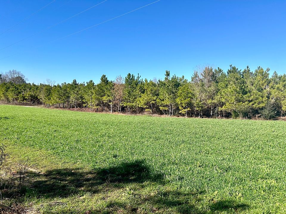 0 County Road 23, Castleberry, AL 36432 MLS 11254491 Zillow