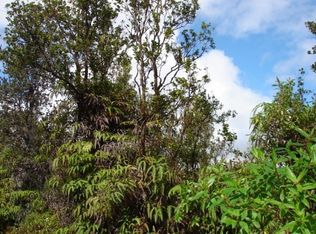 11 3270th #7, Volcano, HI 96785