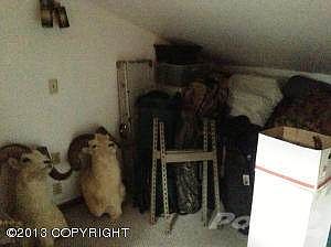 photo4