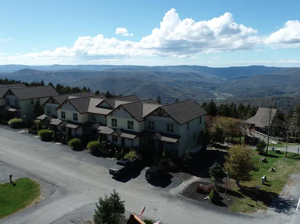 84 Black Bear Cir, Slatyfork, WV 26291