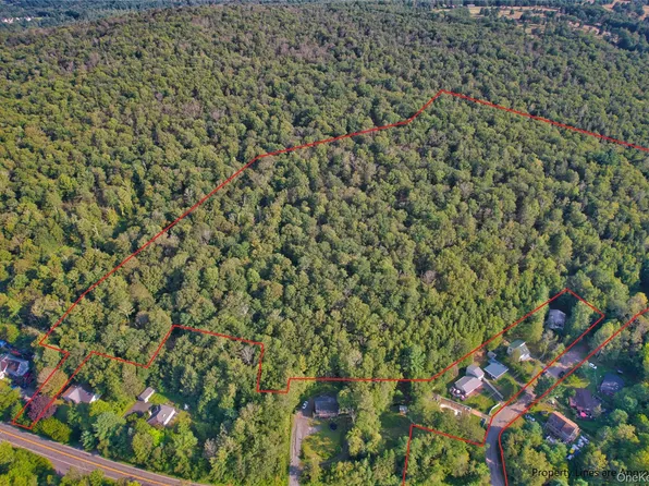 39 Birch Lane, Swan Lake, NY 12783