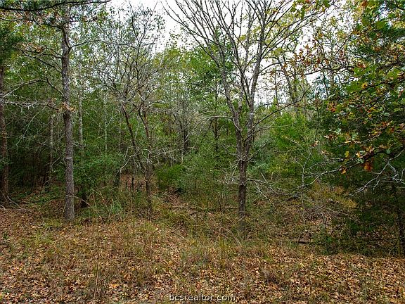 5th image of Teal Lake Dr