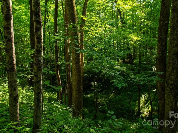 572 Deer Run Unit 18, Black Mountain, NC 28711