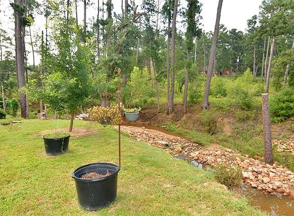 5th image of 223 Alele Dr