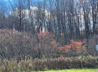 0 Nys Rte #28, Barneveld, NY 13304