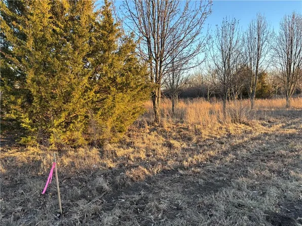 34 & 38 Louisiana Dr, Lacygne, KS 66040