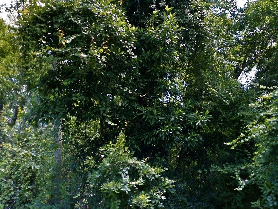 1st image of Gum St Lot 2538