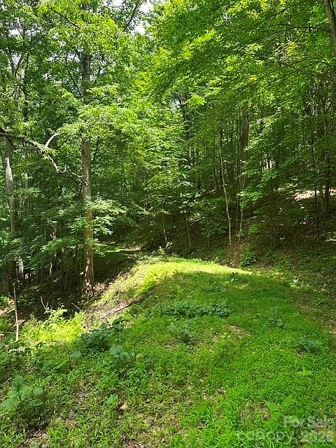 1st image of Mountain Home Rd #2