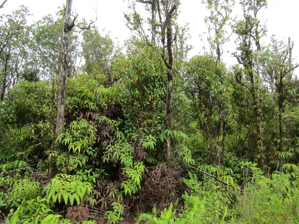 Wailele St Lot 39, Mountain View, HI 96771