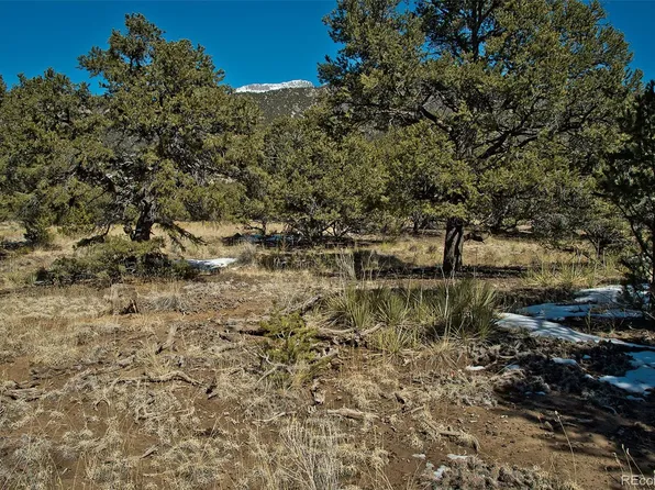 3533 Camino Del Rey, Crestone, CO 81131