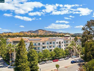 1315 Alma Ave APT 333, Walnut Creek, CA, 94596