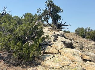 Lots 63&64 Abbe Springs Rnch, Magdalena, NM 87825