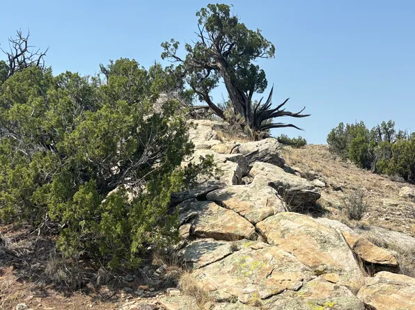 Lots 63&64 Abbe Springs Rnch, Magdalena, NM 87825