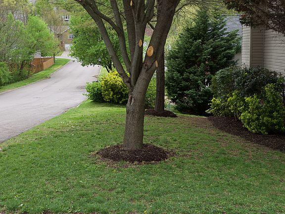 Side yard of corner lot home