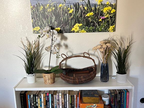 Living Room Shelf