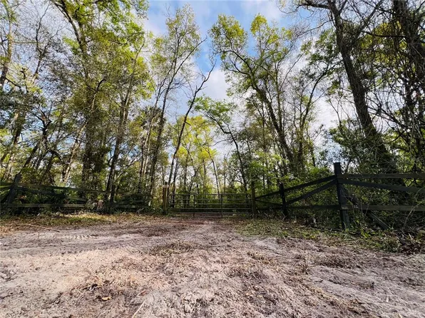 NE 262nd Ave Lot 310, Old Town, FL 32680