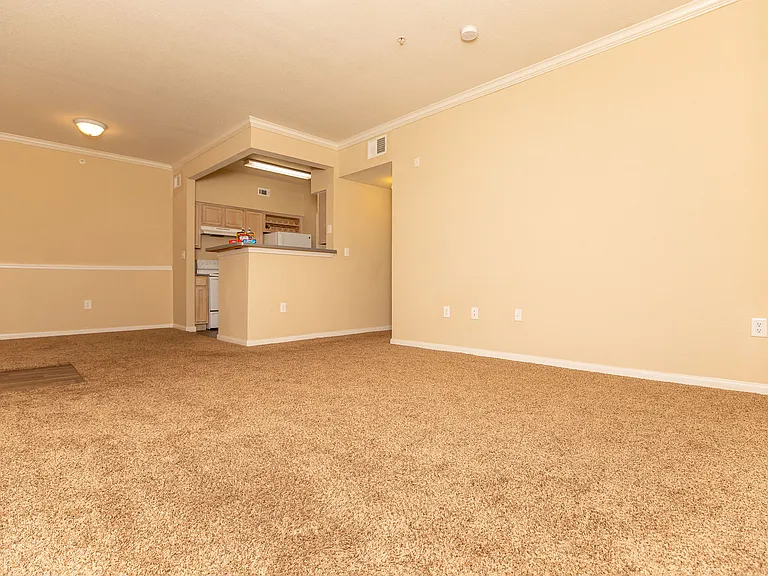 8100 Huebner Rd — Photo 22