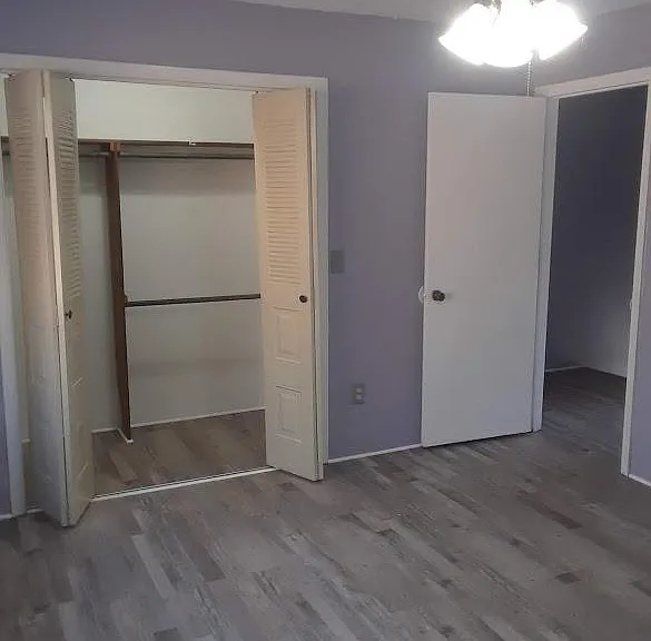 Rear Bedroom, closet and entrance