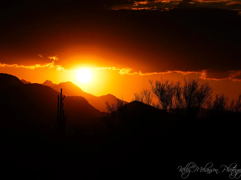 Sunrise