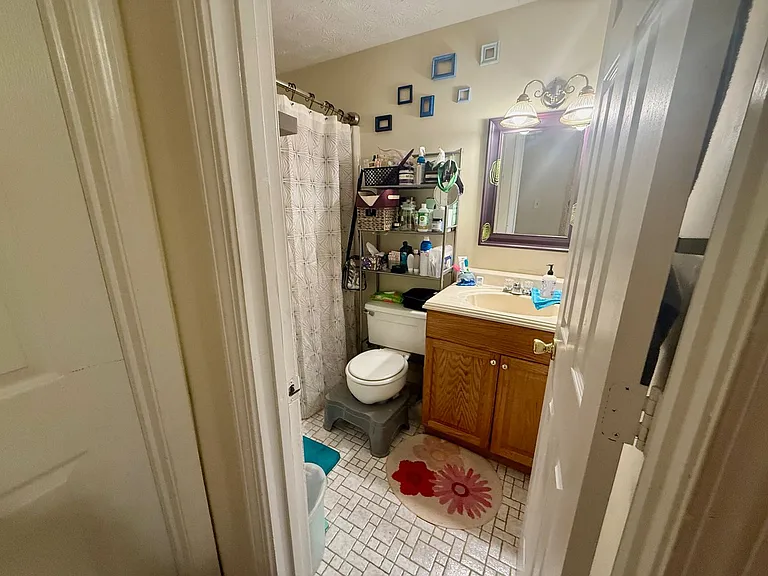 115 Knob Lick Dr — Photo 13