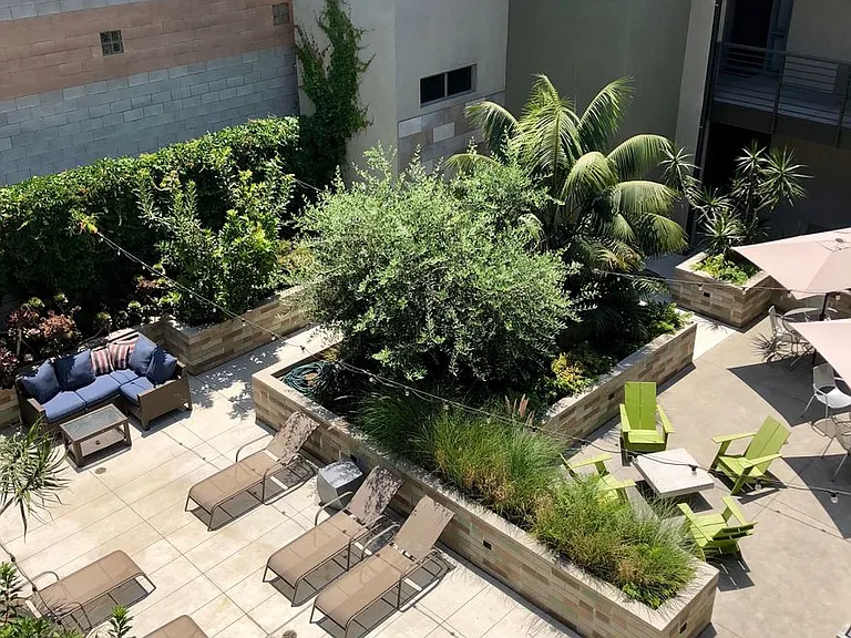 Olea — Photo 28