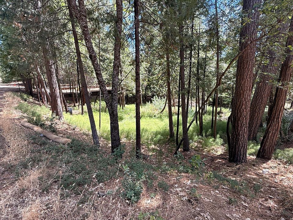 1st image of 558 Roan Way