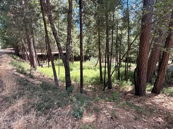 558 Roan Way, Avery, CA 95224