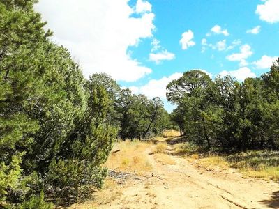 165 Jesse James Rd, Edgewood, NM, 87015
