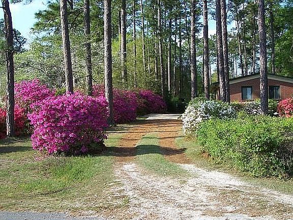 View from side driveway.