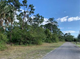 202 Gerald Ave N, Lehigh Acres, FL 33971