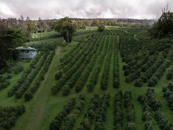 87-2854 Hawaii Belt Rd, Captain Cook, HI 96704